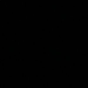 Meet your Posher, Trevor